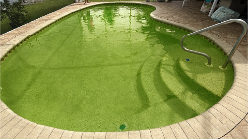 Before and after phosphate removal showing clean pool water in Charlotte County - Before