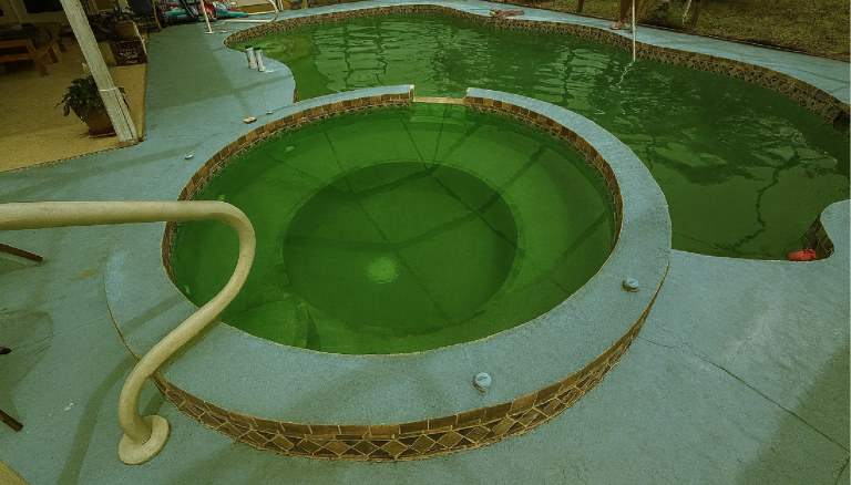 Photo of a green, algae-filled pool in Charlotte County before professional cleanup
