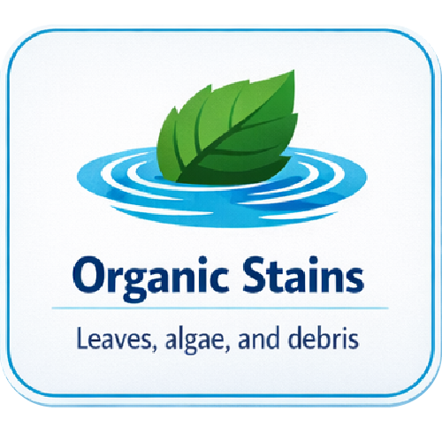 Organic pool stains from leaves, algae, and debris on a residential swimming pool in Florida